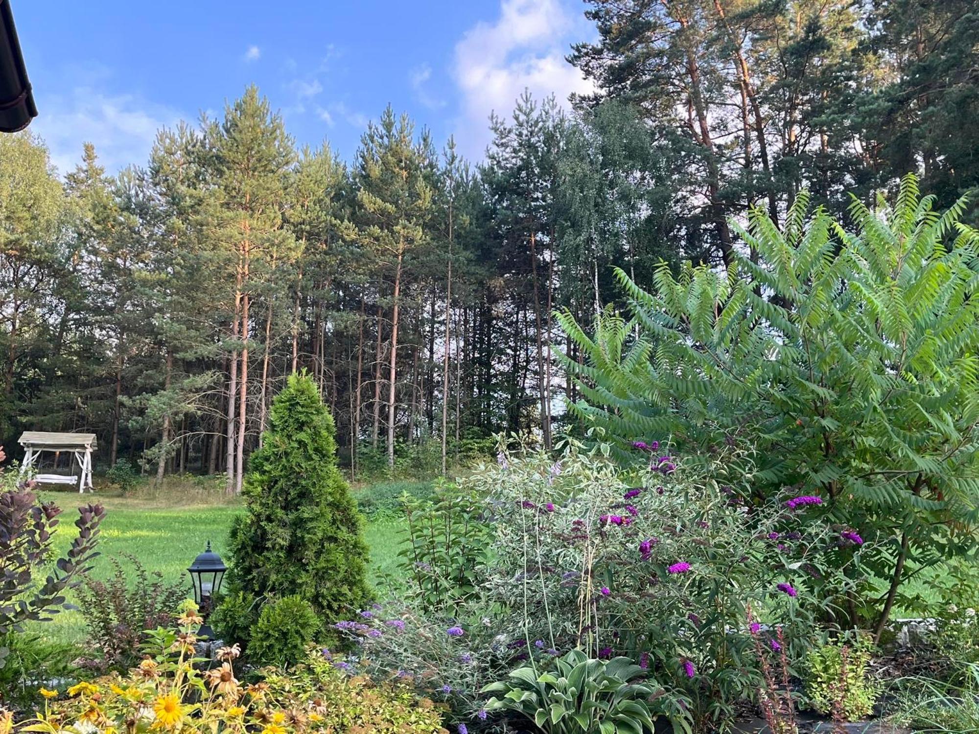 Holiday home Drewniany W Zakatku Andrzeje 18 Sniczany